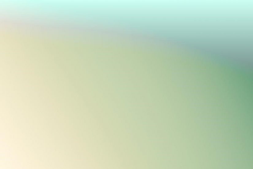 pyraminx algorithms pdf