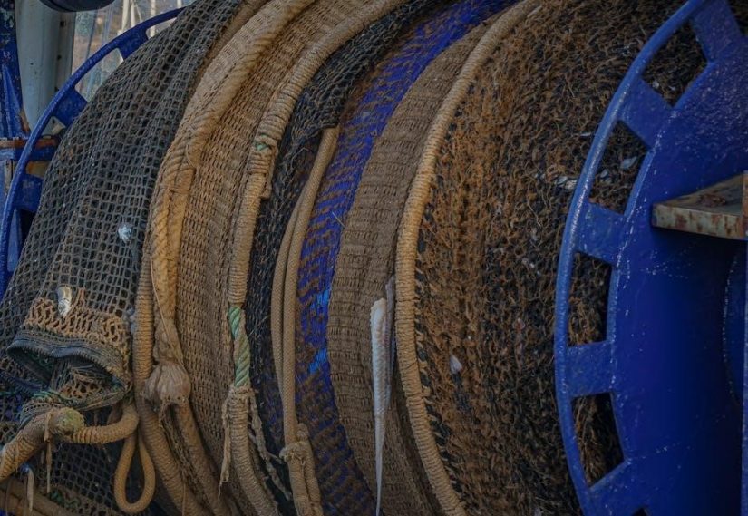 nautilus cc plus manual